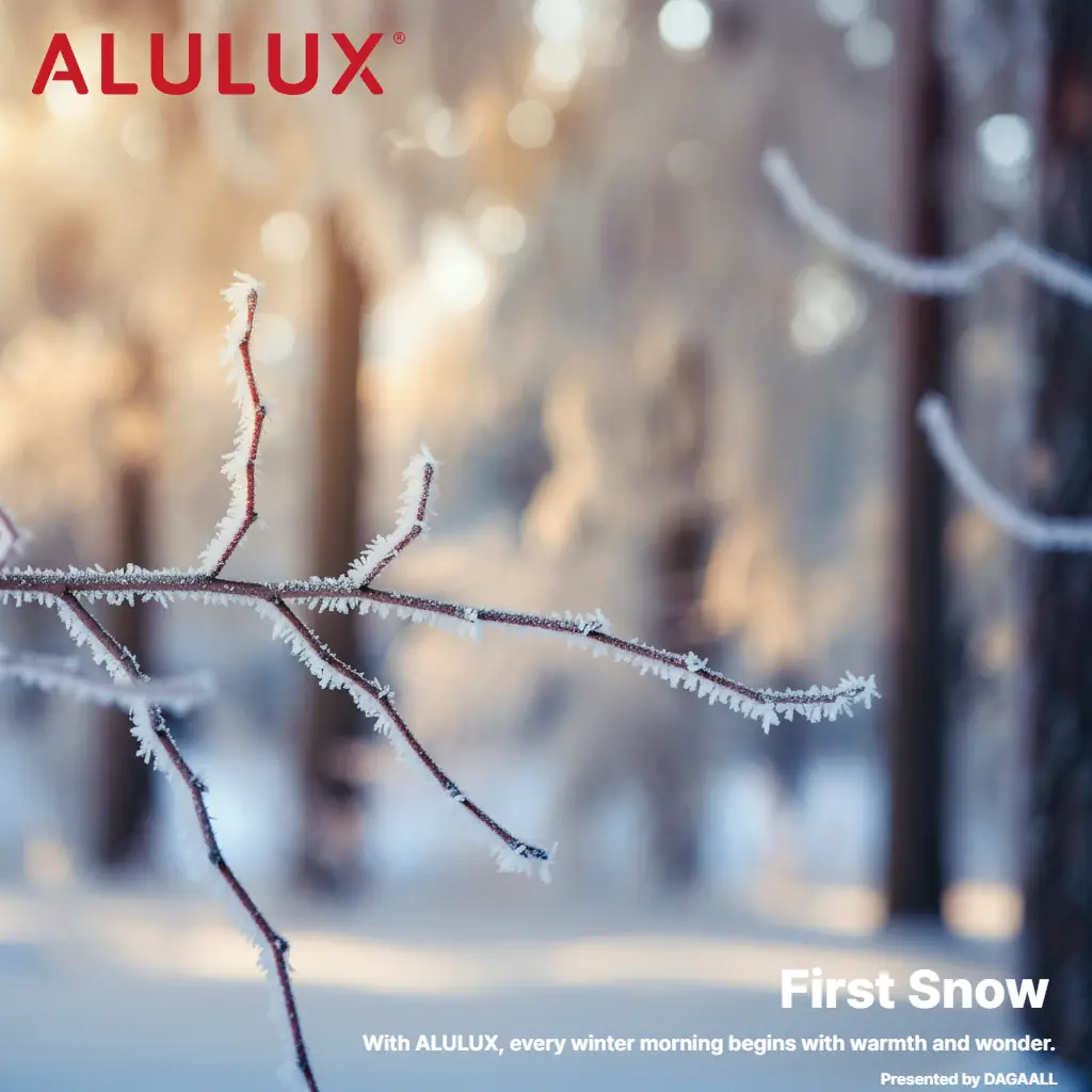 열림, 그리고 첫 눈 | 독일 ALULUX 롤러 셔터