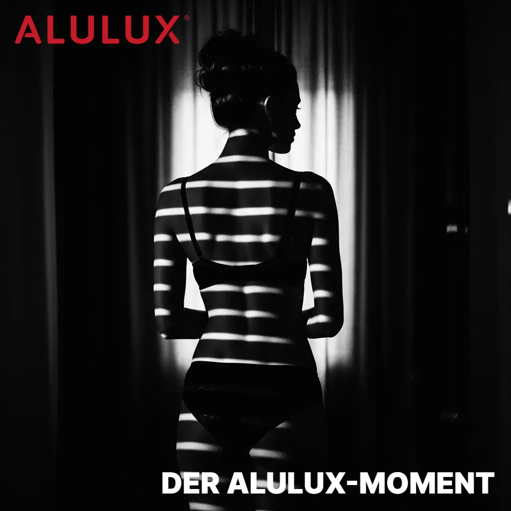 ALULUX 롤러셔터, PRIVACY의 완성